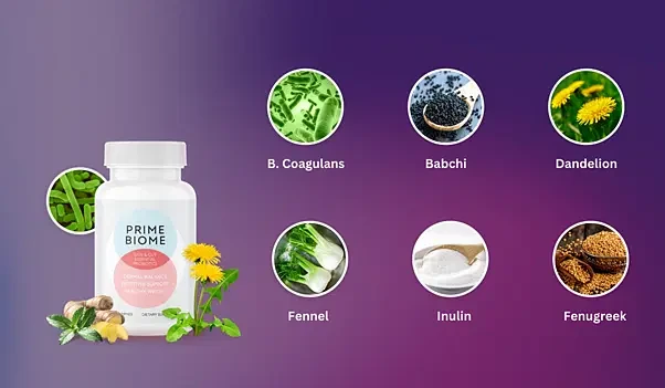 PrimeBiome Ingredients Breakdown Image